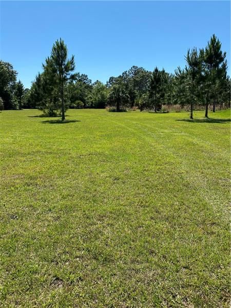 Recently Sold: $58,900 (1.29 acres)