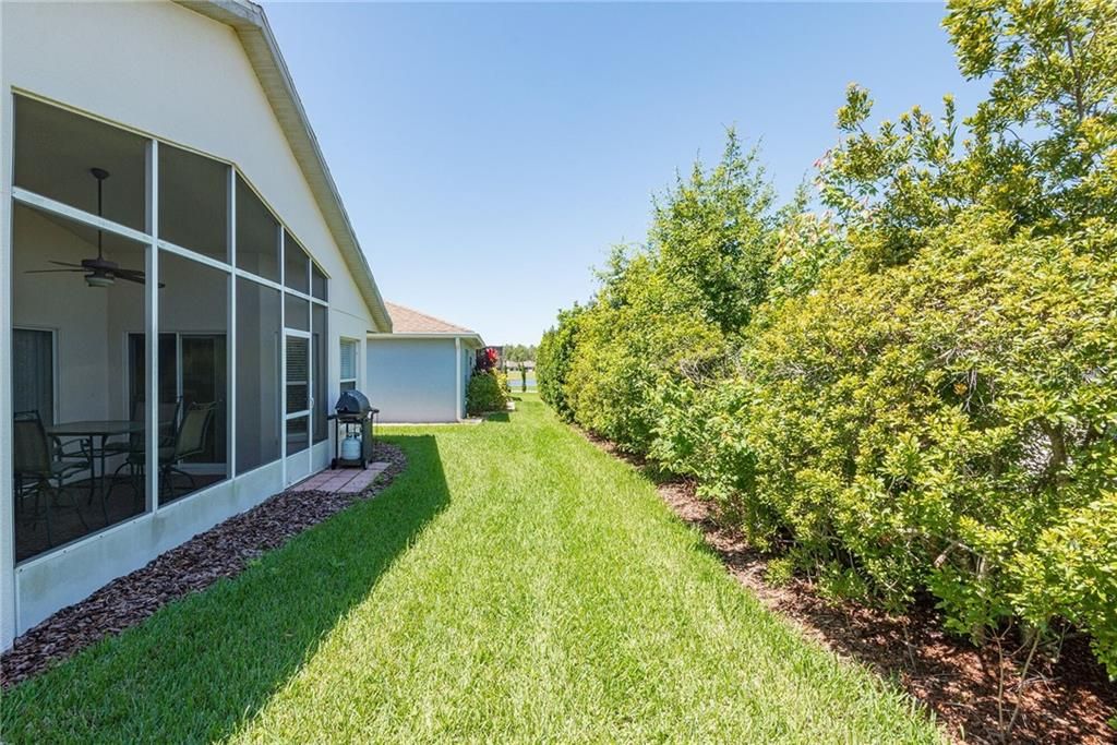 NICE BACKYARD LAWN AREA