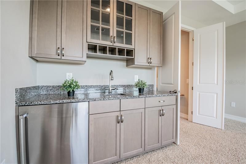 Bonus Room Wet Bar