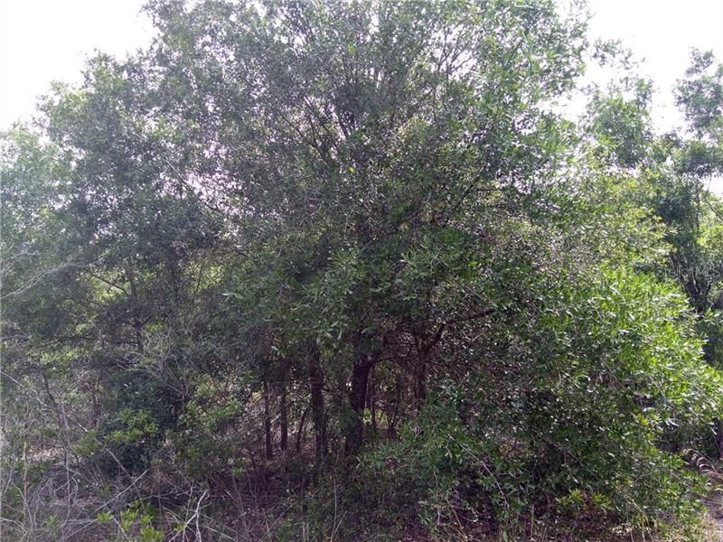 Vendido Recientemente: $79,900 (4.70 acres)