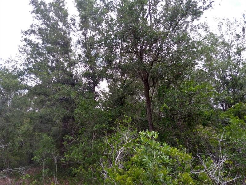 Vendido Recientemente: $79,900 (4.70 acres)