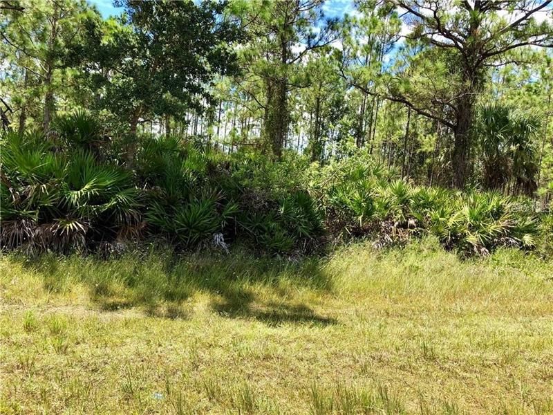 Recently Sold: $2,500 (0.22 acres)