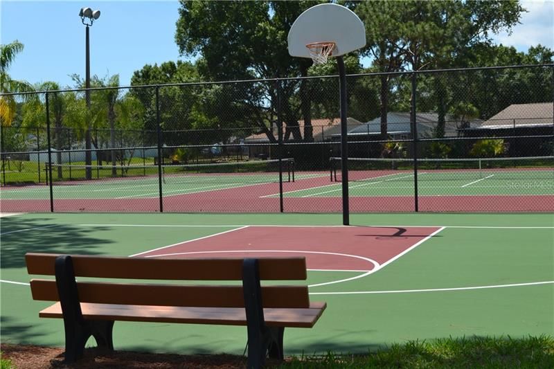 Forest Lakes Community Basketball court