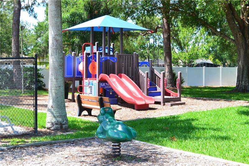 Forest Lakes Community Playground