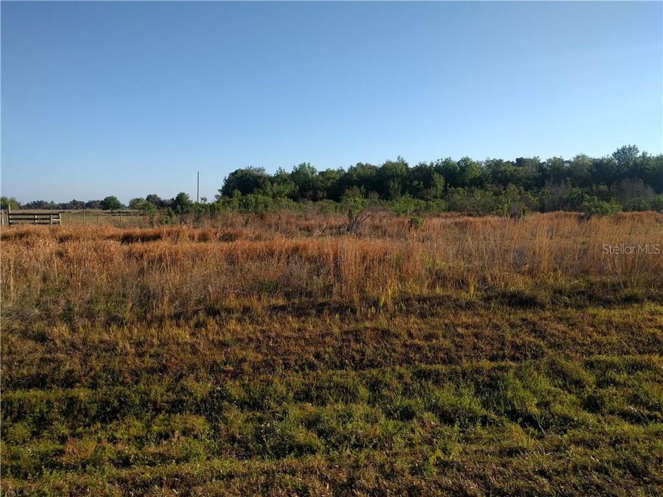 Recently Sold: $105,000 (7.33 acres)