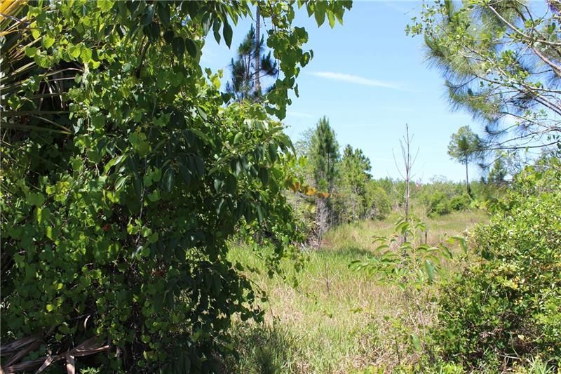 Recently Sold: $15,000 (1.07 acres)