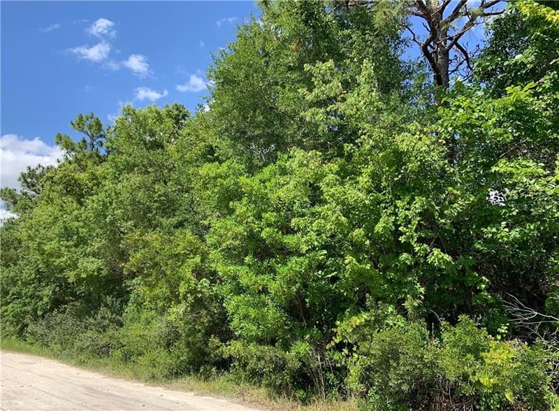 Recently Sold: $4,000 (0.18 acres)