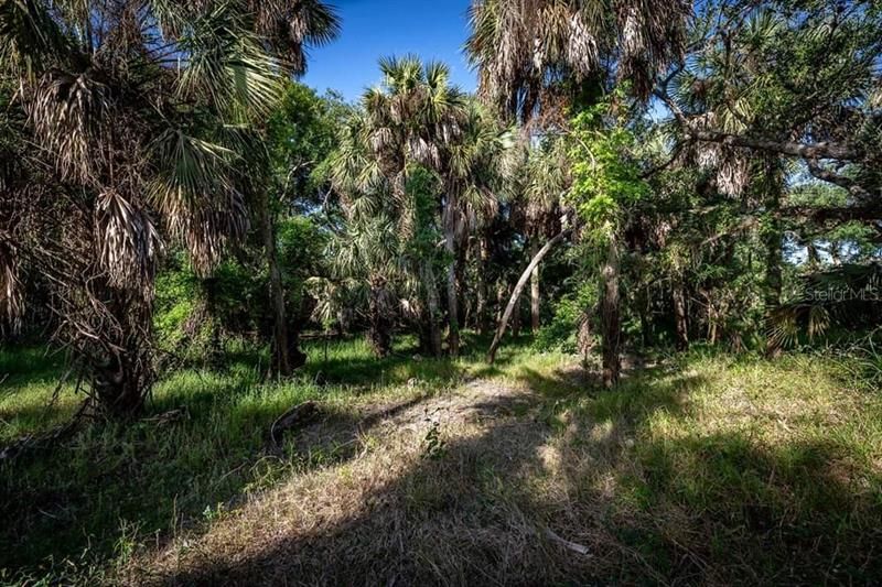 Recently Sold: $275,000 (20.00 acres)