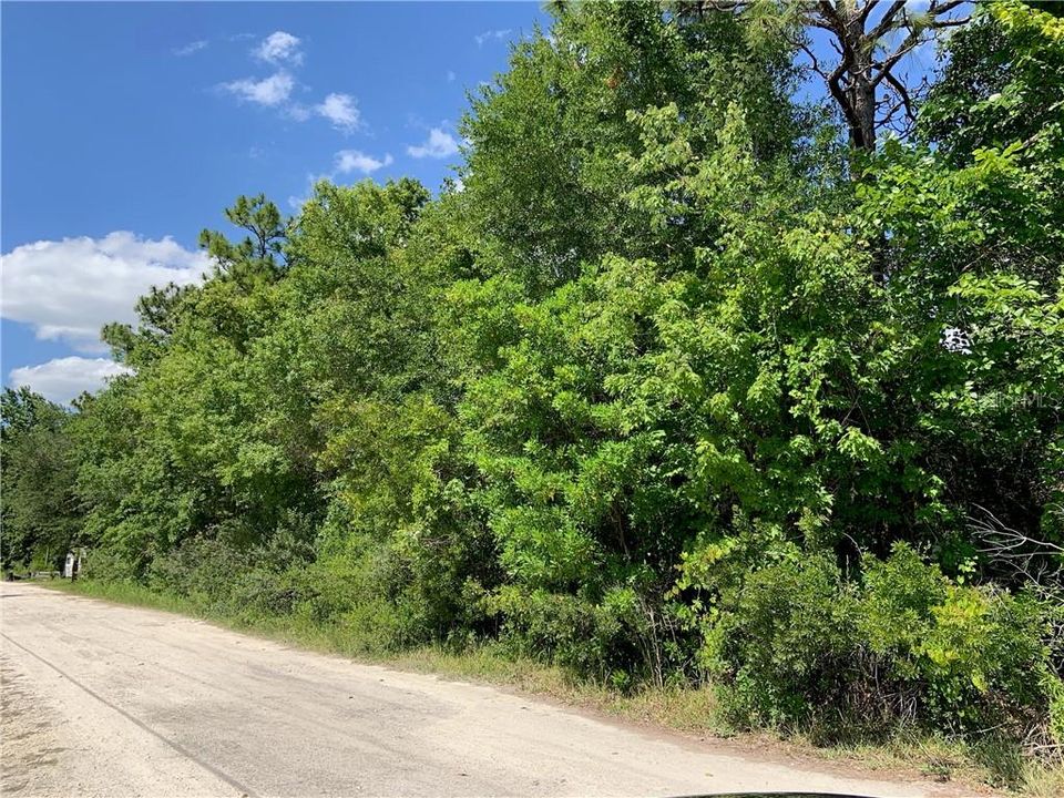 Recently Sold: $4,000 (0.18 acres)