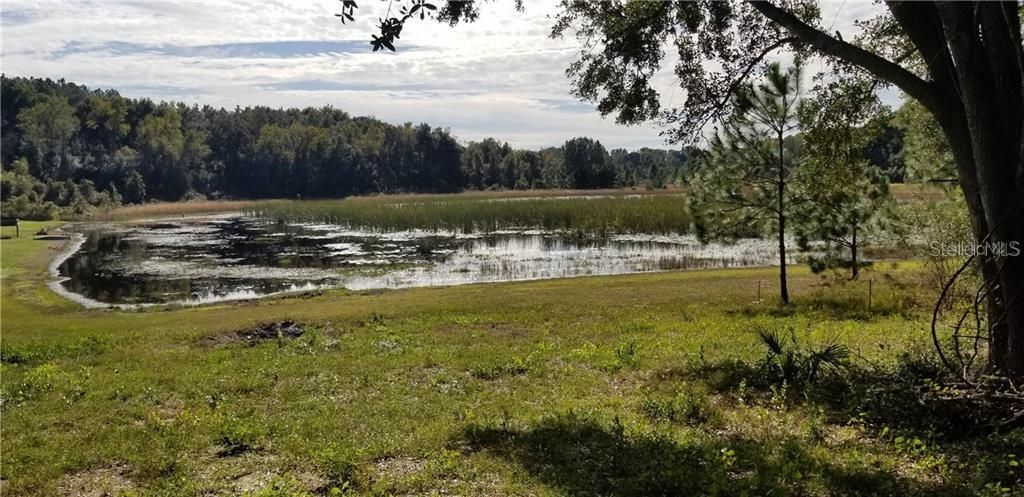 Недавно продано: $32,000 (2.18 acres)