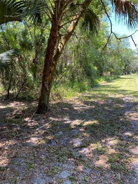 Vendido Recientemente: $64,900 (2.43 acres)