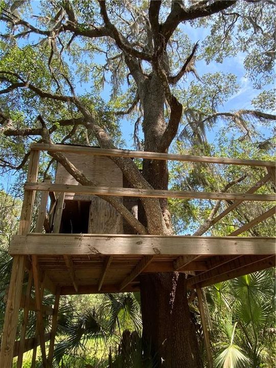 Tree house