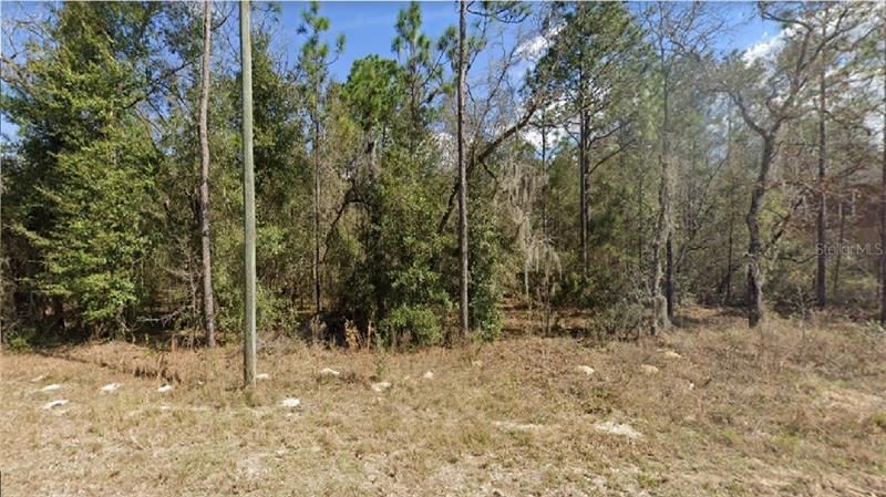 Recently Sold: $6,500 (0.46 acres)