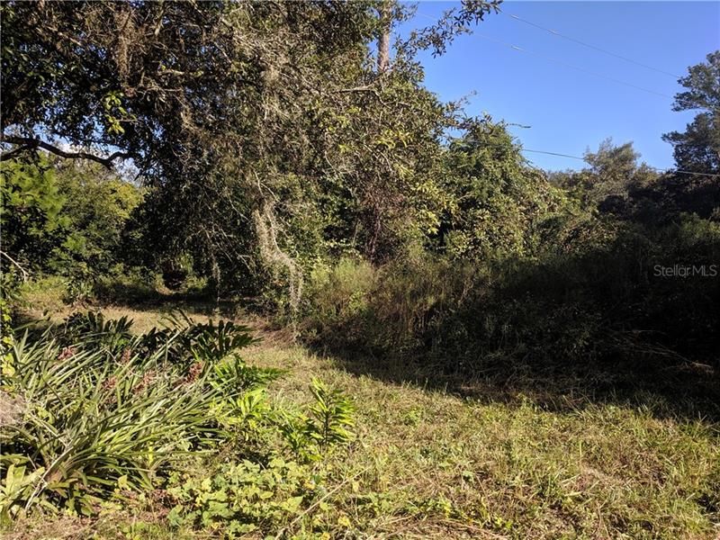 Recently Sold: $12,000 (0.42 acres)