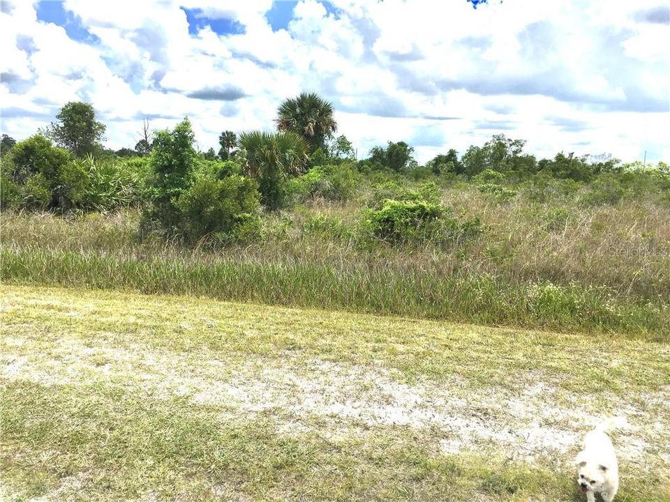 Recently Sold: $12,000 (2.50 acres)