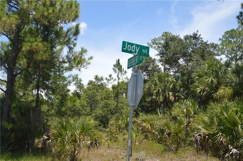 Recently Sold: $10,995 (0.24 acres)