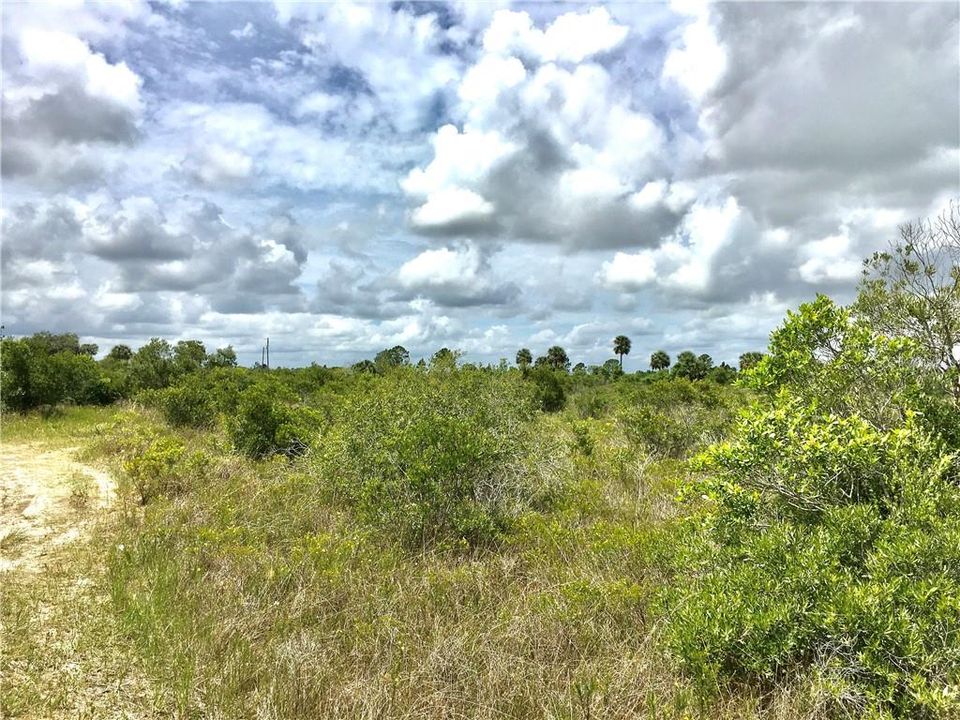 Vendido Recientemente: $6,000 (1.25 acres)