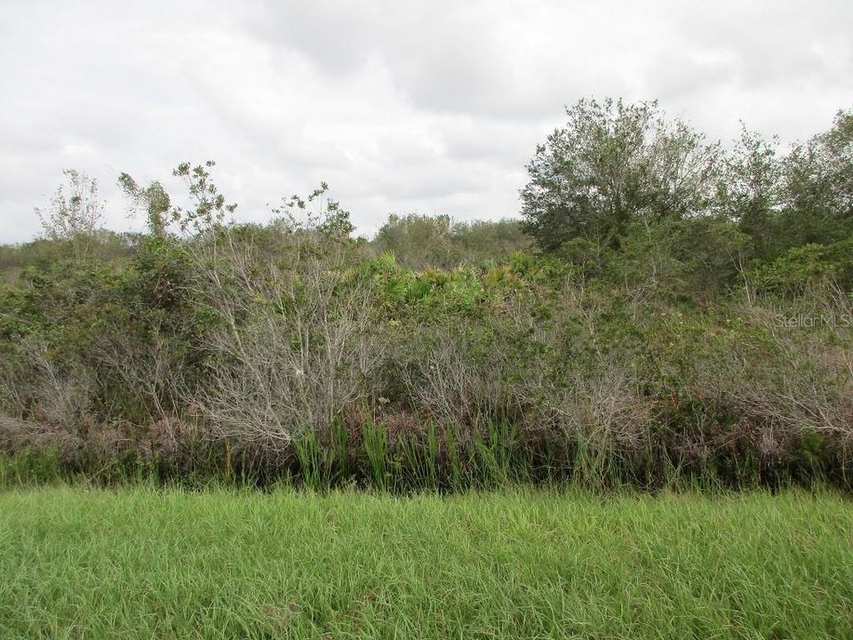 Vendido Recientemente: $7,800 (1.25 acres)