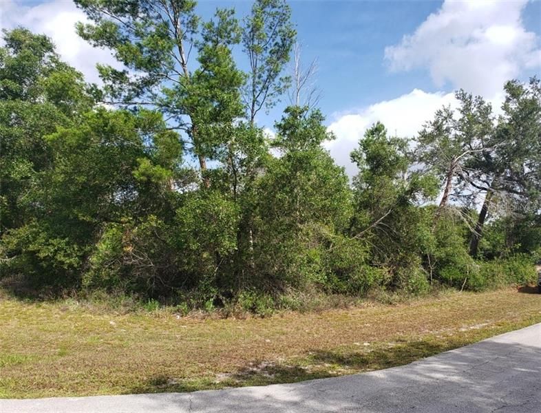 Recently Sold: $29,900 (0.25 acres)