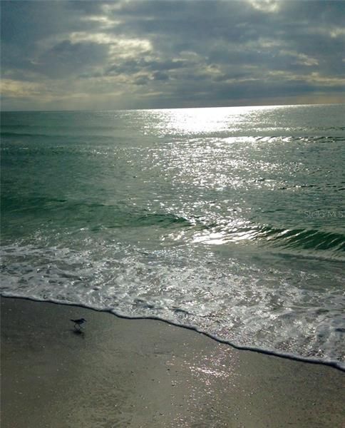 Gorgeous beaches and gentle surf on Anna Maria Island.