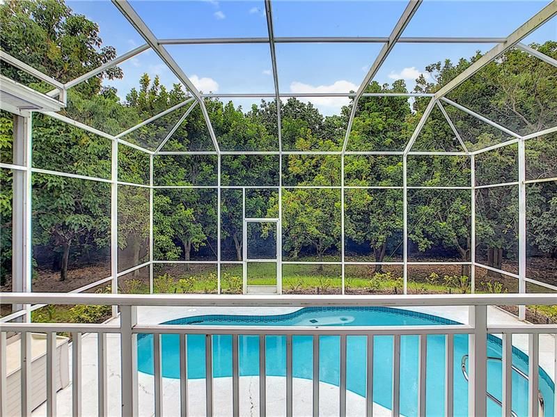 Completely private rear yard and pool area. You'll love the high volume cage. New filter pump!