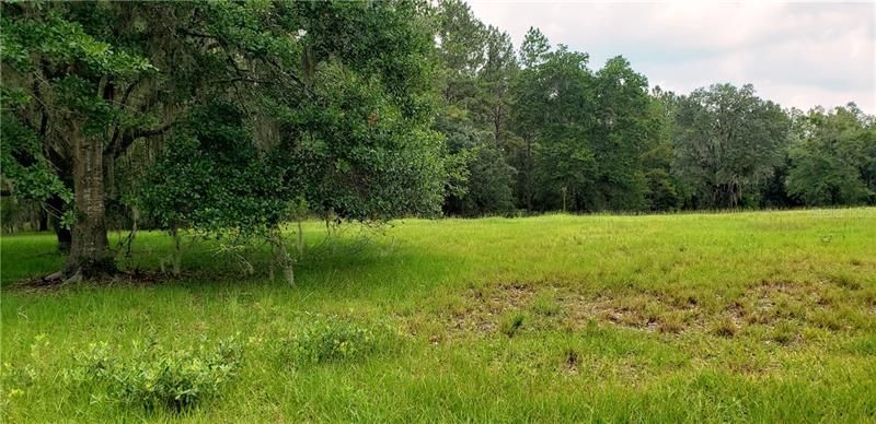 Recently Sold: $57,900 (3.41 acres)