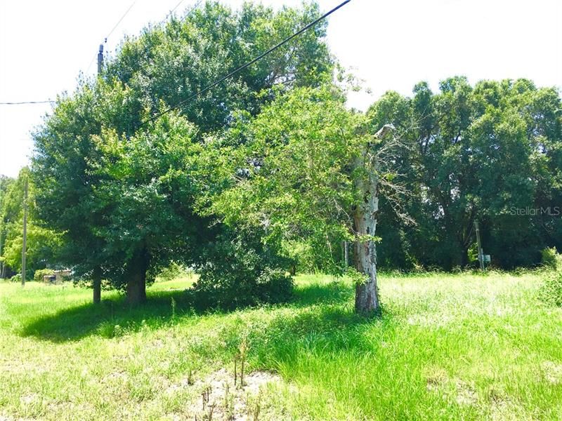 Recently Sold: $14,500 (0.09 acres)