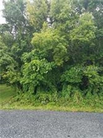 Vendido Recientemente: $50,000 (0.13 acres)