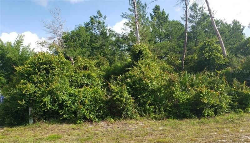Recently Sold: $29,900 (0.30 acres)