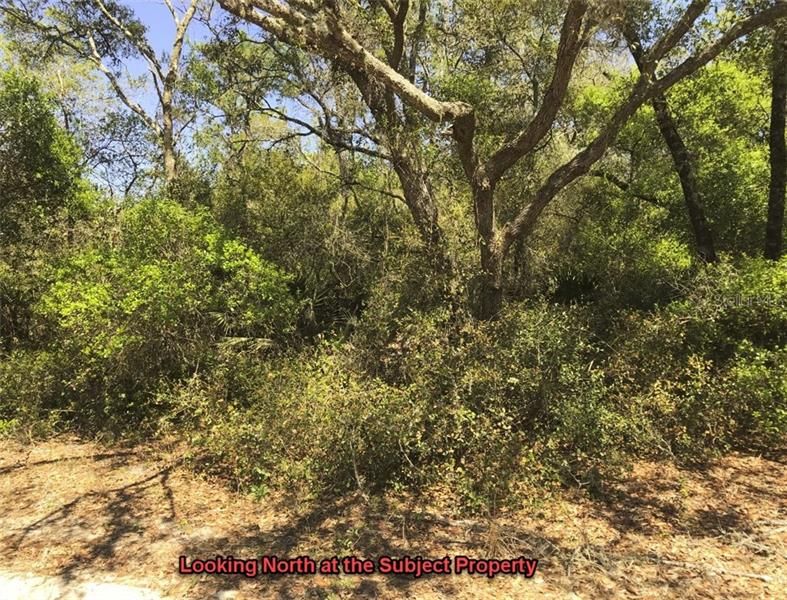 Recently Sold: $6,500 (1.25 acres)