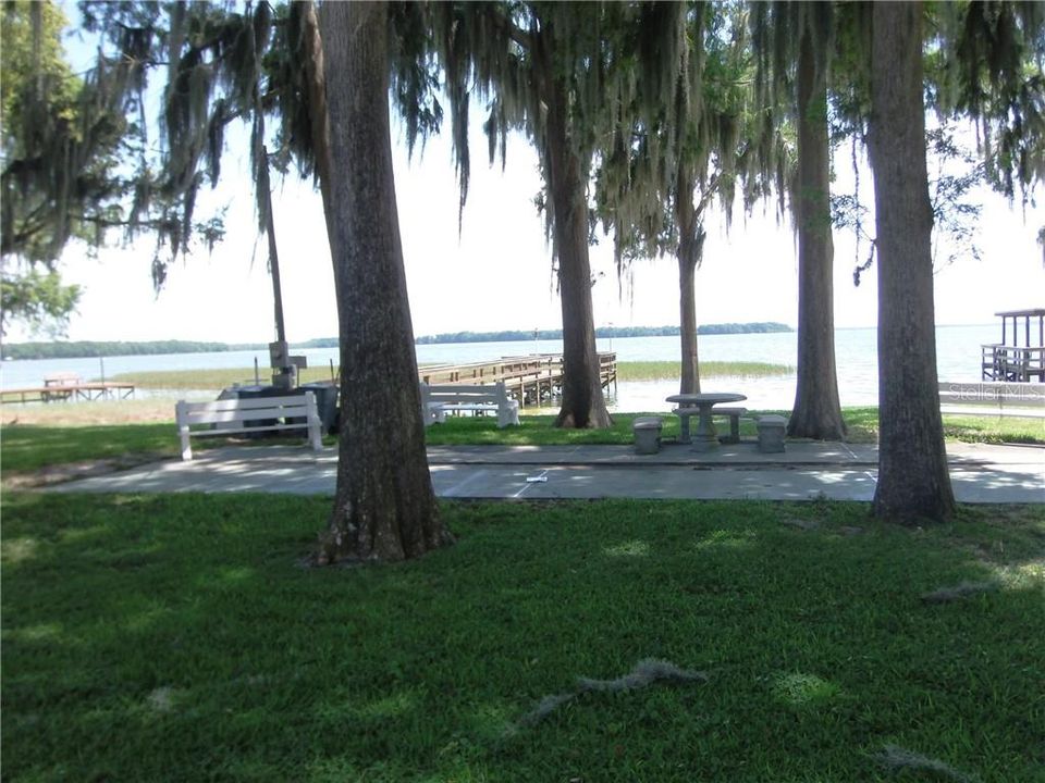 SHUFFLE BOARD AND PICNIC AREA