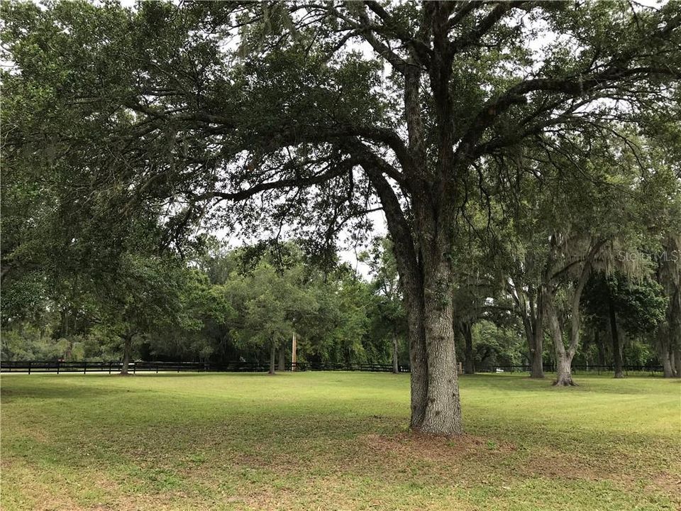 Vendido Recientemente: $415,000 (3 camas, 2 baños, 1949 Pies cuadrados)