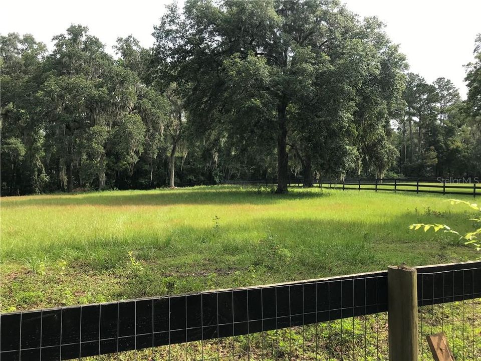 Good Pasture, Old Oaks, Board and No Climb Fencing