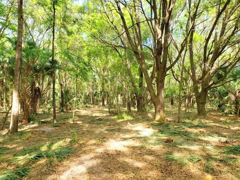 最近售出: $64,900 (5.50 acres)