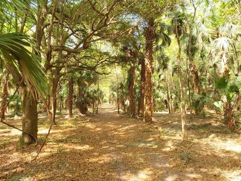 Recently Sold: $39,900 (3.00 acres)