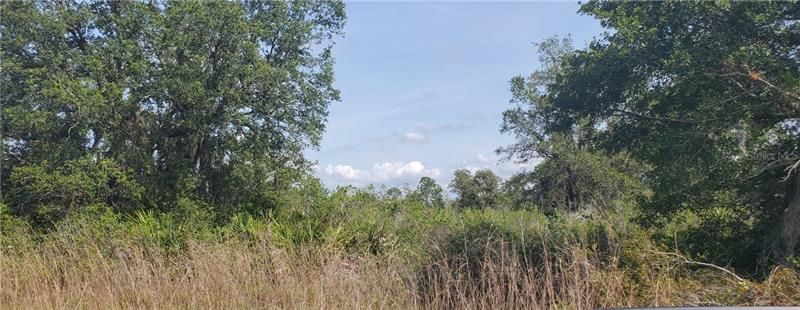 Vendido Recientemente: $18,000 (2.31 acres)