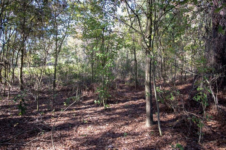 Recently Sold: $37,900 (1.00 acres)