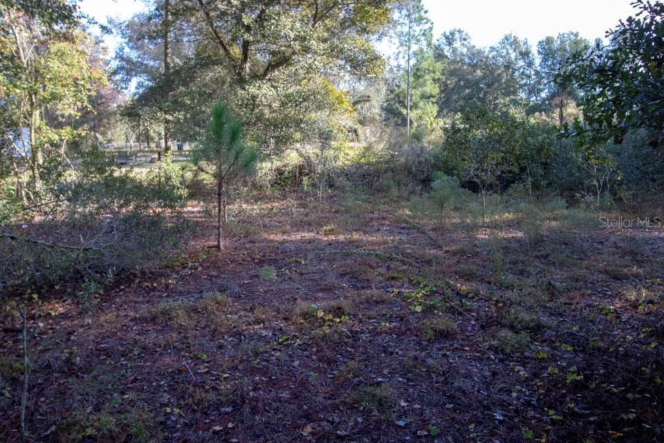 Recently Sold: $37,900 (1.00 acres)
