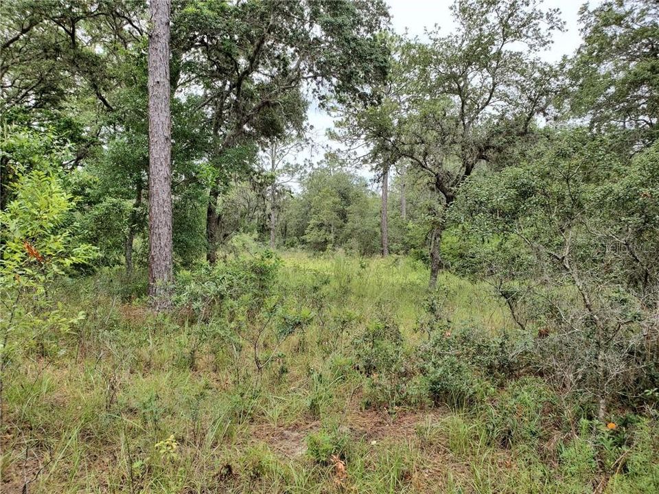 Recently Sold: $29,900 (5.00 acres)