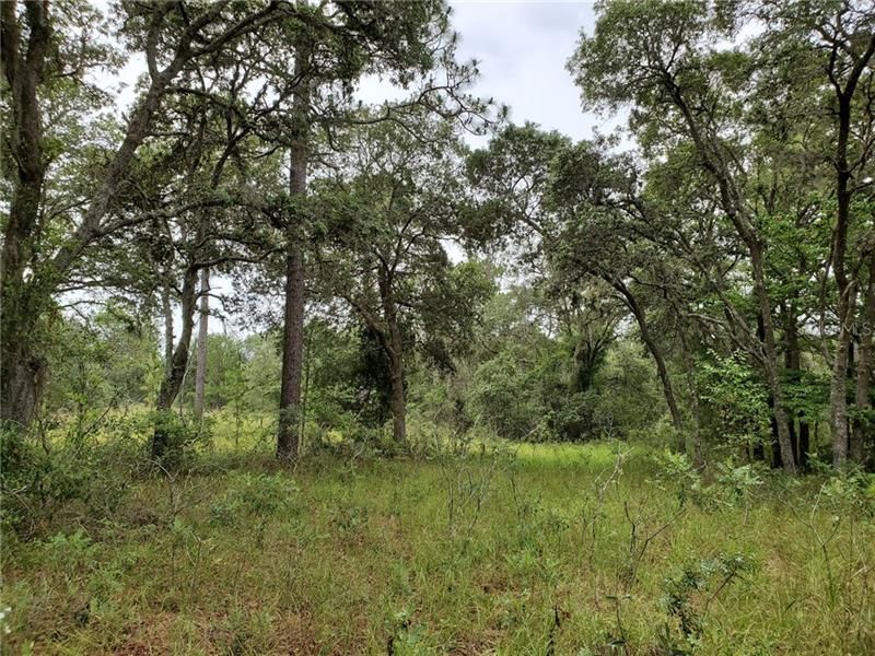 Recently Sold: $29,900 (5.00 acres)