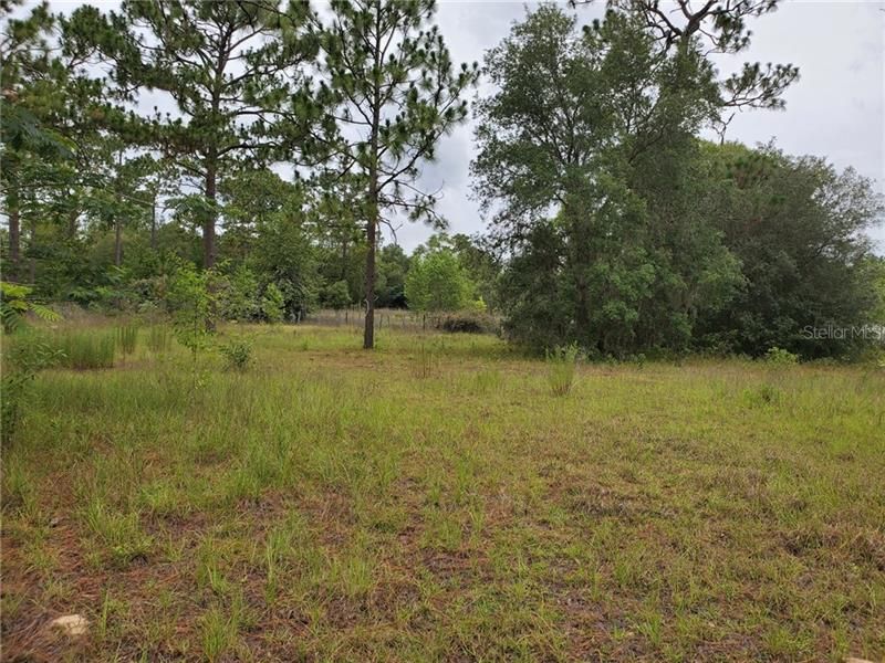 Recently Sold: $39,900 (5.00 acres)