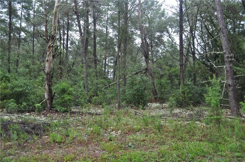 Recently Sold: $26,500 (2.50 acres)