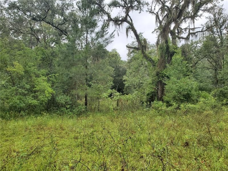Recently Sold: $32,900 (4.25 acres)