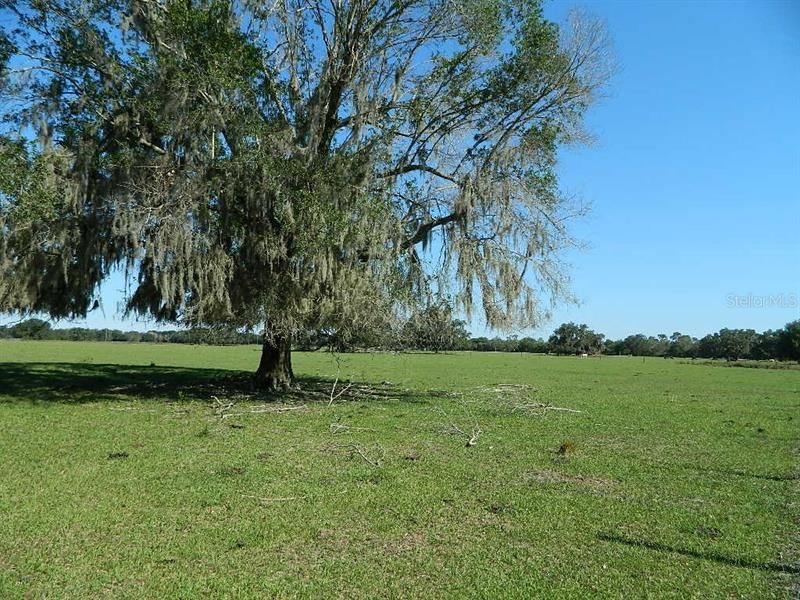 Recently Sold: $420,000 (35.00 acres)