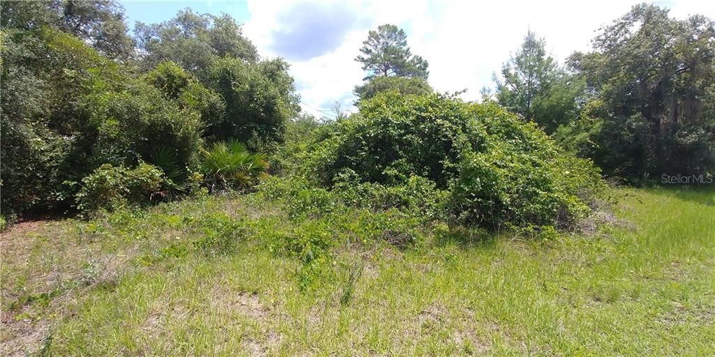 Recently Sold: $7,995 (0.21 acres)