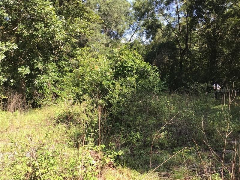 Recently Sold: $16,000 (0.41 acres)