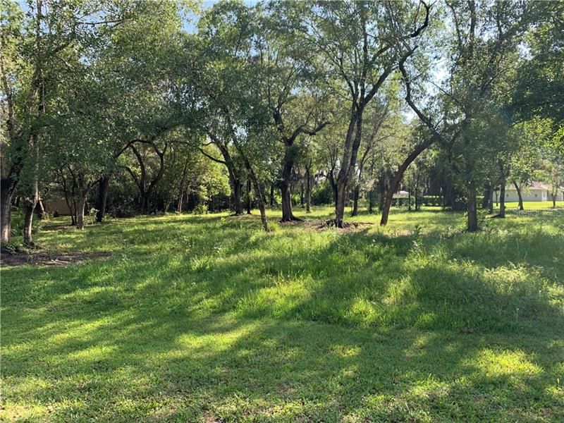 Recently Sold: $29,000 (0.51 acres)
