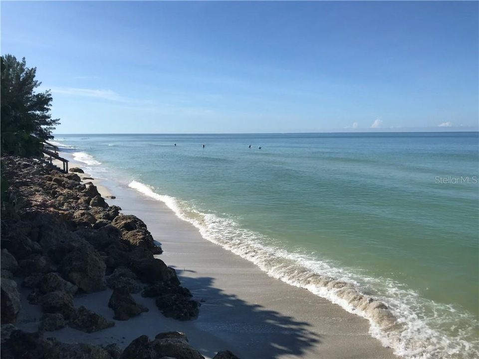 Walk south along the shoreline and watch pelicans dive for their dinner and shorebirds scatter in the tide.