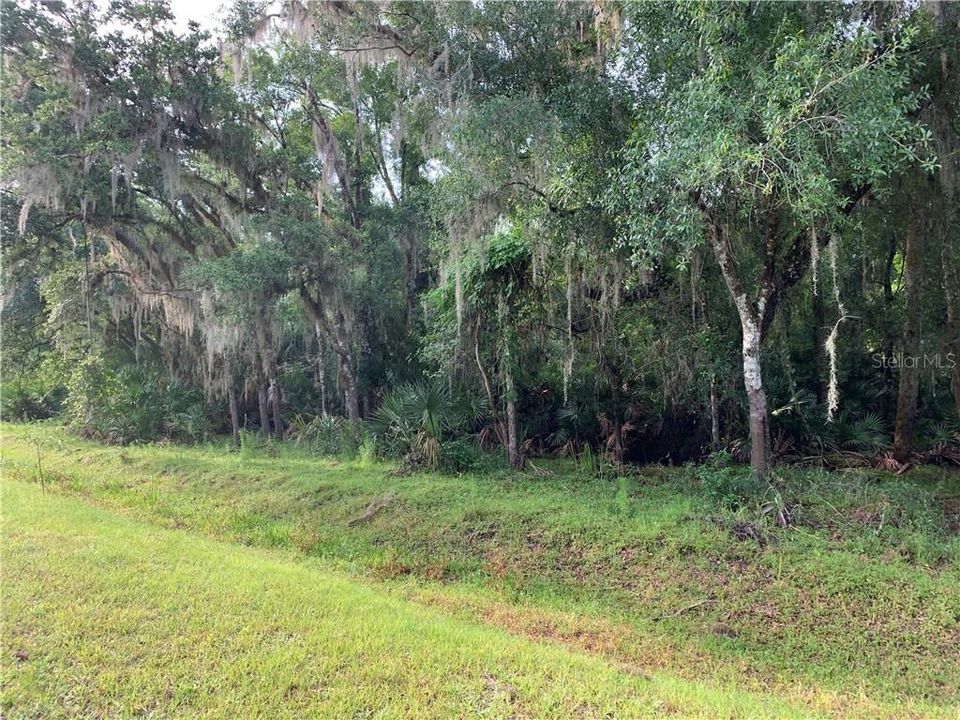 Recently Sold: $5,000 (1.03 acres)