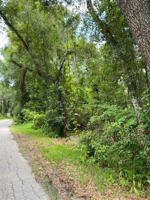 Recently Sold: $12,500 (0.24 acres)